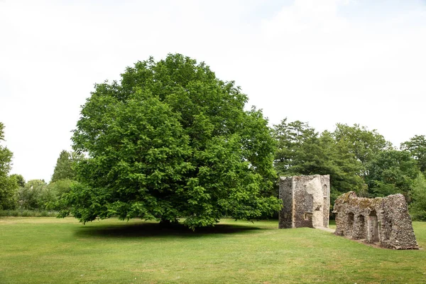 Abbey Ruins Bury Edmunds Park Był Kiedyś Jednym Najbogatszych Najpotężniejszych — Zdjęcie stockowe