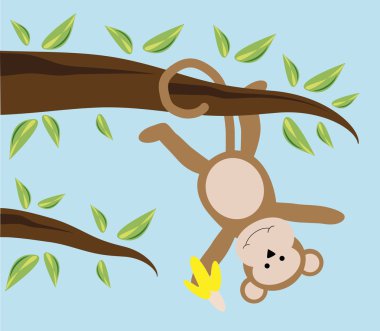 ağaçta sallanan maymun