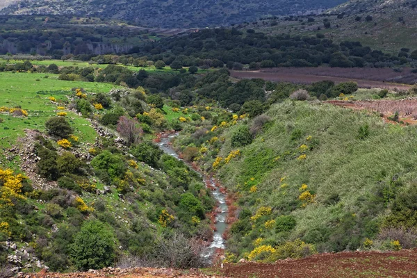 Altezze del Golan — Foto Stock