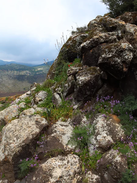 Alturas del Golán — Foto de Stock