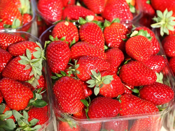 Fresh strawberries. — Stock Photo, Image