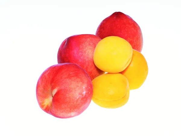Persikor och aprikoser — Stockfoto