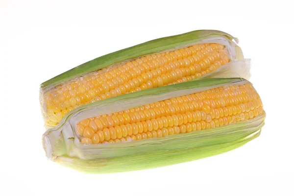 Две кукурузы — стоковое фото