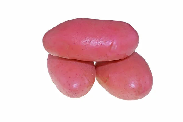 Aardappelen — Stockfoto