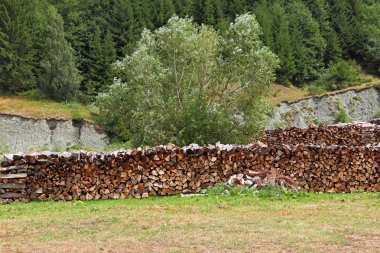 Yakacak odun yığını
