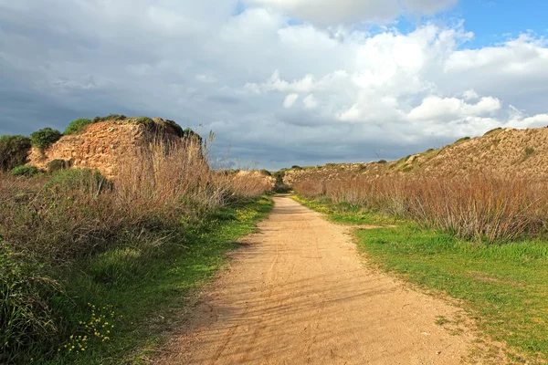 Vroege lente in Israël — Stockfoto