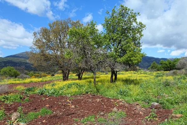 Paisaje salvaje —  Fotos de Stock