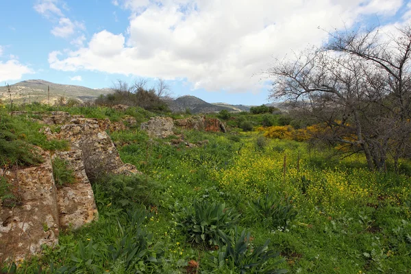 Golanhoogten — Stockfoto