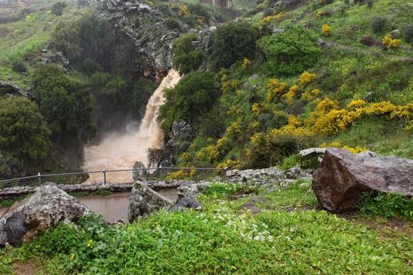 Golan Tepeleri, İsrail — Stok fotoğraf