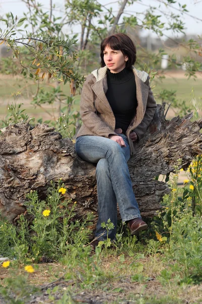 Woman sits on a tree — Stock Photo, Image