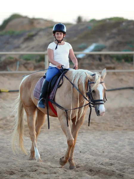 Menina e cavalo — Fotografia de Stock