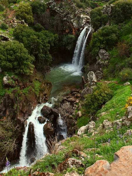 Golan Tepeleri — Stok fotoğraf