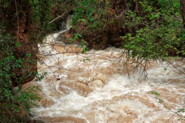 Banias doğa rezerv