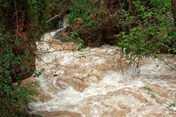 Naturschutzgebiet Banias — Stockfoto