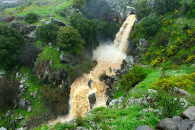 Banias waterfall clipart