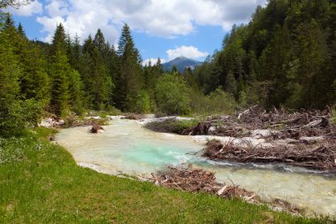 Bistrica Nehri 