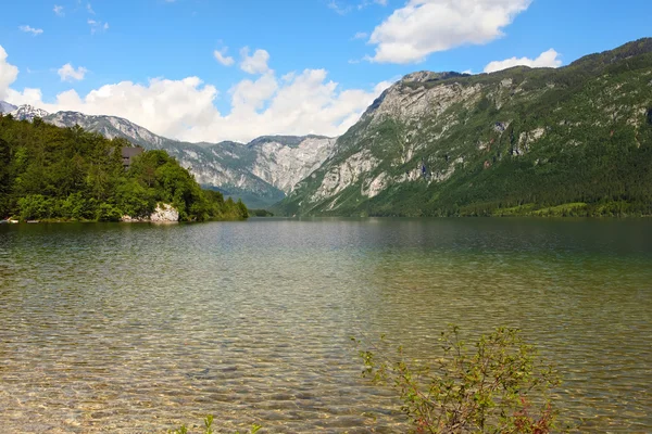 Lago bohinj — Fotografia de Stock