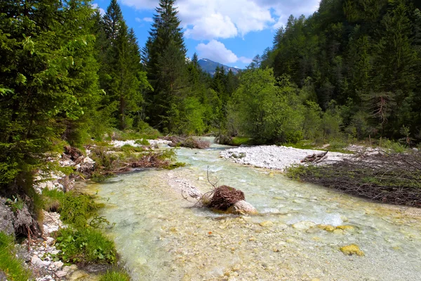 Fiume Bistrica — Foto Stock