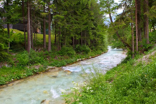 Fiume Bistrica — Foto Stock