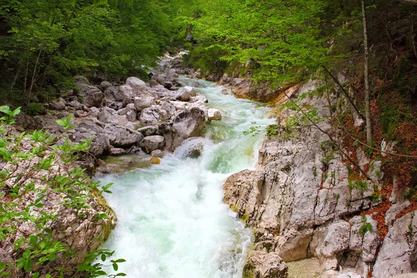 Waterfall Savica — Stock Photo, Image