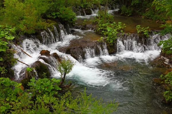 Plitvice Gölleri Ulusal Parkı — Stok fotoğraf