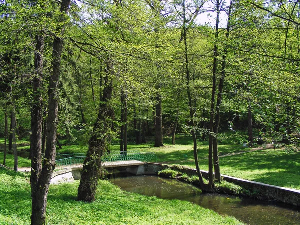 Doğa