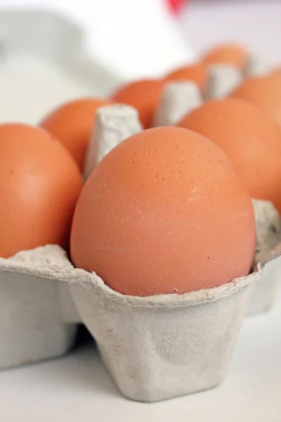 Eggs in box close up