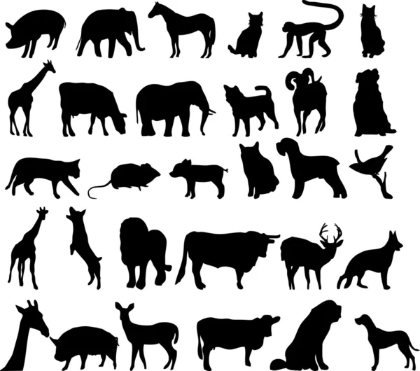 Animales — Vector de stock