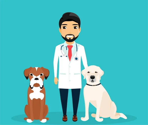 Hombre Veterinario Con Perros Cuidado Salud Los Animales Estilo Plano — Vector de stock