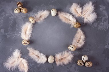 Koyu arkaplanda grunge tarzında mutlu Paskalya tebrik kartları. Bıldırcın yumurtası ve hafif tüylerden oluşan yuvarlak bir çerçeve. Üst Manzara. Düz yatıyordu.