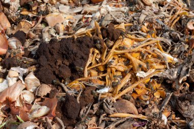 Evde gübre üretmek için gıda atıklarının geri dönüşümü için ekolojik bir yöntem. Özel bahçedeki gübre çukurunda yiyecek atıkları. Gübre için çürümüş organik atık. Açık havada. Üst Manzara. Yakın plan.