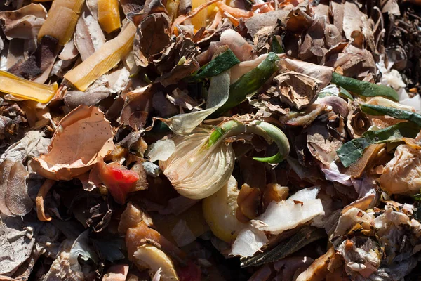 Ecological method for recycling food waste at home to make compost. Food waste in compost pit on private garden. Rotting organic waste for compost. Outdoor. Top view. Close-up