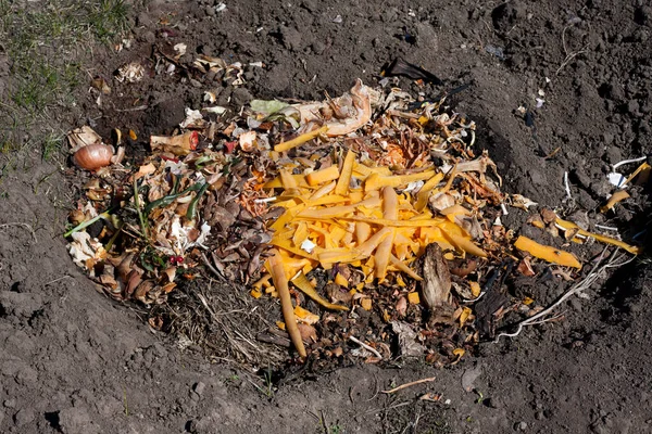 Ecologische Methode Voor Het Recyclen Van Voedselafval Thuis Compost Maken Rechtenvrije Stockfoto's