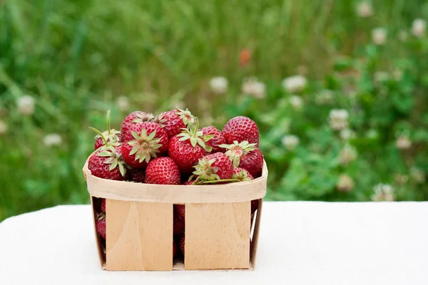 Summer strawberry harvest. Ripe appetizing red strawberries in wooden box stand on table against background of green grass and blooming clover. international strawberry day