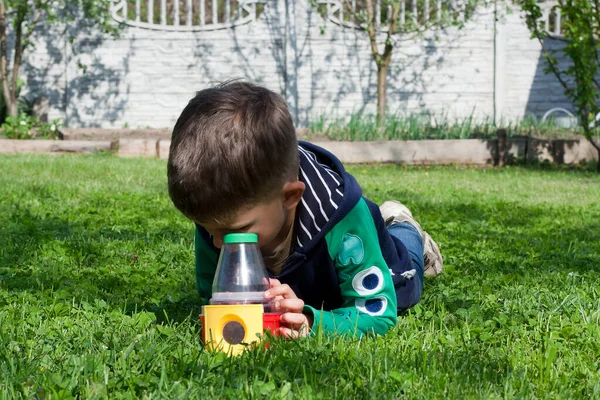 Дошкільний Хлопчик Лежить Животі Зеленому Газоні Оглядає Комах Використовуючи Навчальну — стокове фото