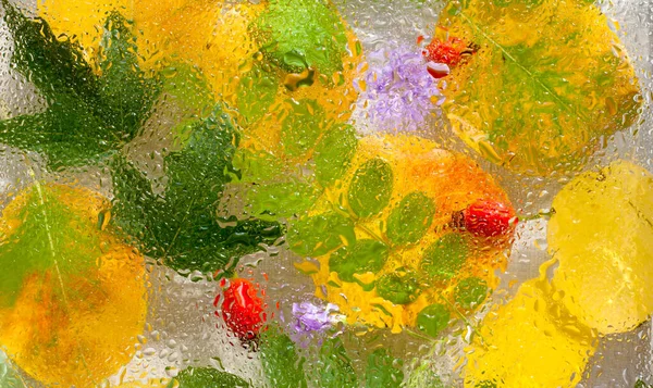 Яскравий Осінній Фон Осіннє Жовте Зелене Листя Рожеві Стегна Дощовій — стокове фото