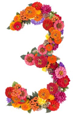 çiçeklerden yapılmış 3 numara