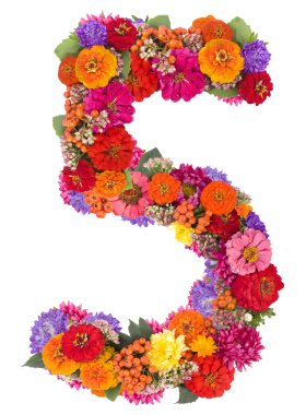 çiçeklerden yapılmış 5 sayısı