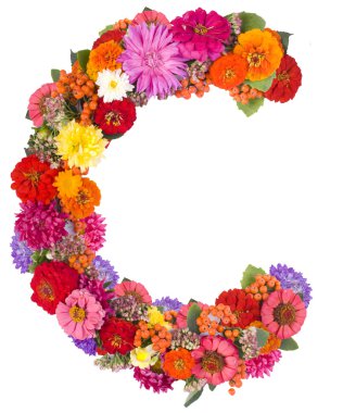 beyaz izole çiçek alfabesi