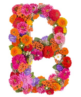 beyaz izole çiçek alfabesi