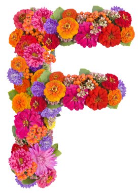 e, üzerinde beyaz izole çiçek alfabesi