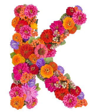 beyaz izole çiçek alfabesi