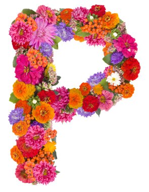 beyaz izole çiçek alfabesi