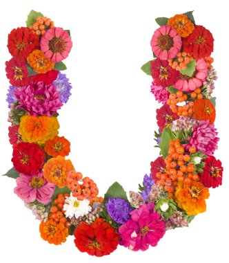 beyaz izole çiçek alfabesi