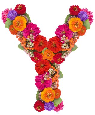 beyaz izole çiçek alfabesi