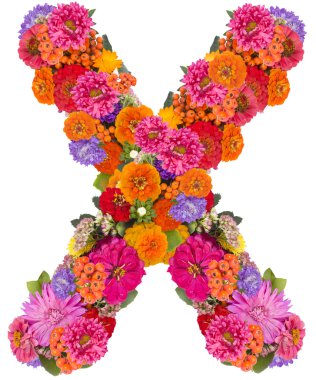 beyaz izole çiçek alfabesi