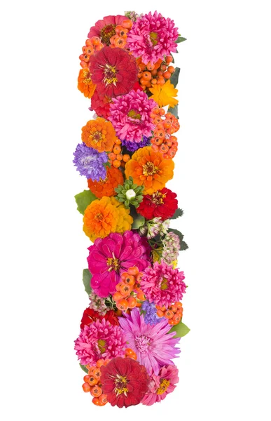 E, alfabeto de flores aislado en blanco —  Fotos de Stock