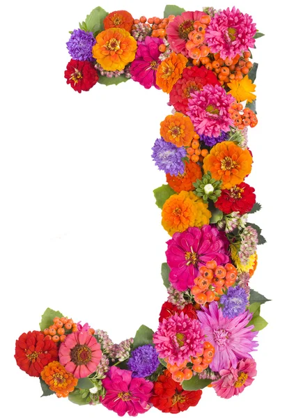 Flower alphabet isolated on white — Stock Photo, Image