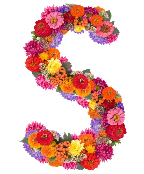 Flower alphabet isolated on white — Stock Photo, Image