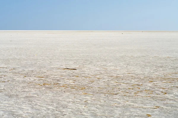 在阿曼的盐沙漠 — 图库照片